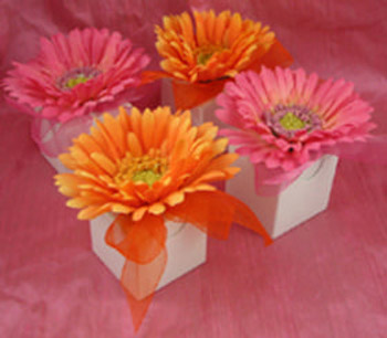 Gerber Daisy Favor Boxes