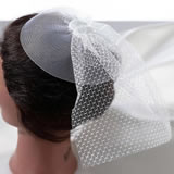 Lillian Rose Veil Headpiece - White