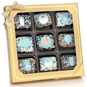 New Baby Boy Chocolate Dipped Mini Crispy Rice Bars- Window Gift Box of 9